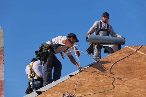 Roof Gutter Cleaning in Bloomfield, NM